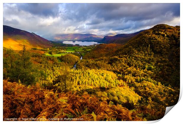 Borrowdale, Lake District Print by Nigel Wilkins