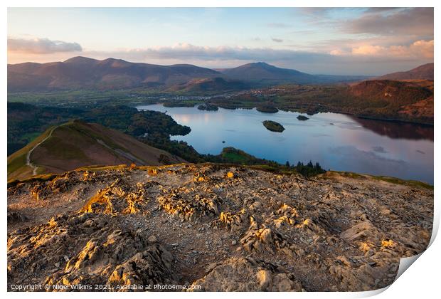 A View From Cat Bells Print by Nigel Wilkins