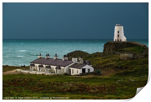 Twr Mawr Lighthouse & Pilot Cottages, Anglesey Print by Nigel Wilkins