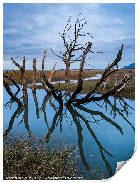 Porlock Marsh, Somerset Print by Nigel Wilkins