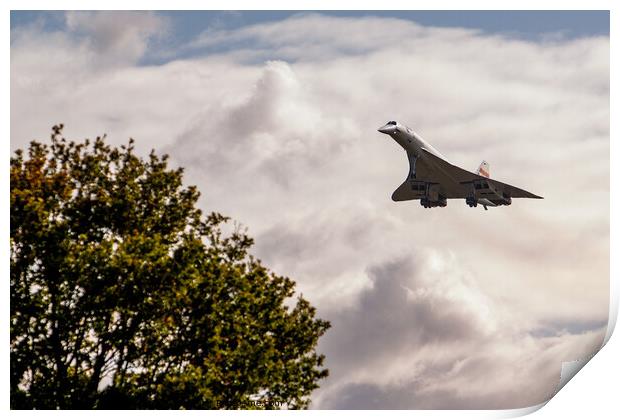 Concorde Print by Nigel Wilkins