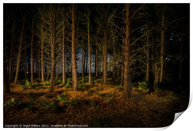 Natural Night Lights Print by Nigel Wilkins