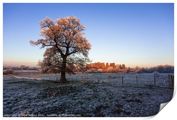 Kenilworth Castle Oak Print by Nigel Wilkins