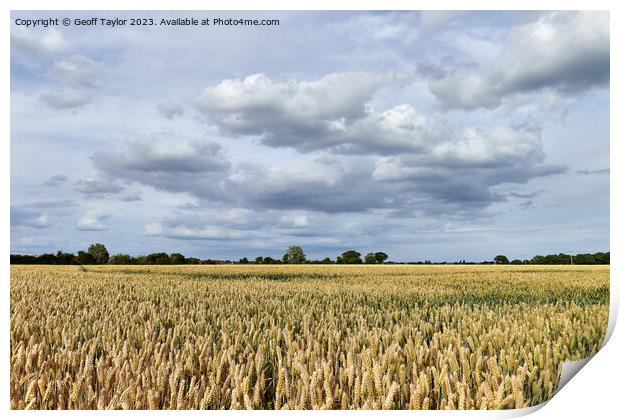 Over the fields Print by Geoff Taylor