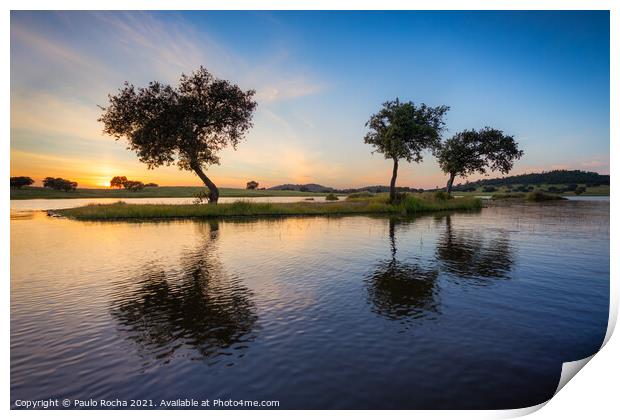 Trees surrounded by water in a lake at sunset Print by Paulo Rocha