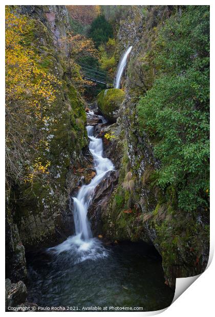 Moutain forest waterfall Print by Paulo Rocha
