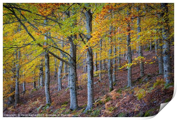 Hillside colorful autumn landscape at Manteigas - Serra da Estrela - Portugal Print by Paulo Rocha
