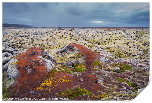 Moss-covered Icelandic lava field Print by Paulo Rocha