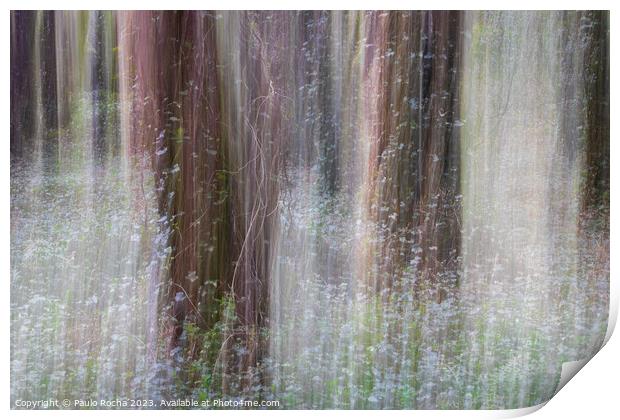 Abstract image of a blurred forest Print by Paulo Rocha