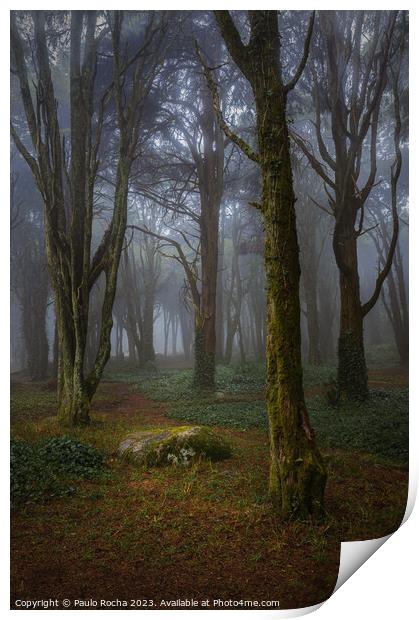 Misty forest with mossy rocks and trees Print by Paulo Rocha