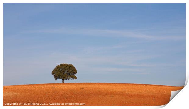 A lonely tree, typical Alentejo landscape Print by Paulo Rocha