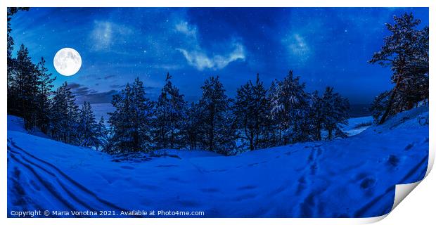 Winter night in snowy forest with full moon Print by Maria Vonotna