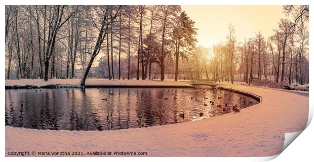 Snowy park at sunset Print by Maria Vonotna