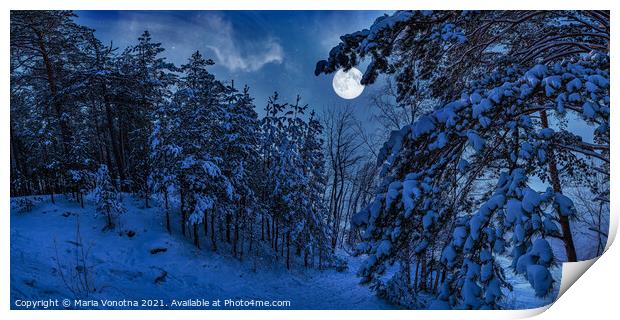 Winter night landscape with snow-covered pine tree Print by Maria Vonotna