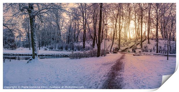 Sunset over snowy winter park Print by Maria Vonotna