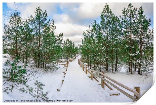 Boardwalk covered in snow among pine trees Print by Maria Vonotna