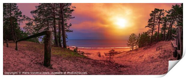 Colorful sunset over sea and pine forest Print by Maria Vonotna