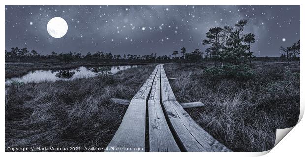 Black and white photo of wooden trail across swamp Print by Maria Vonotna