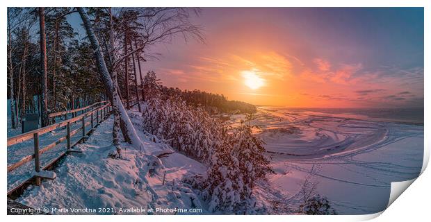 Colorful sunset over snowy sea coast and pine  Print by Maria Vonotna