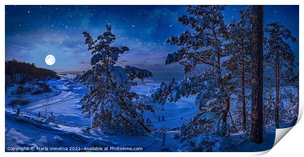 Snowy Baltic sea coast with fir trees in winter ni Print by Maria Vonotna