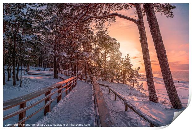 Winter landscape with sunset over covered in snow  Print by Maria Vonotna