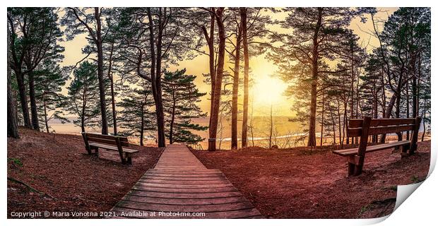 Sunset in pine forest with benches under trees Print by Maria Vonotna