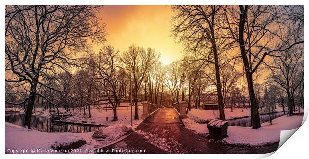 Snowy park during sunset in Riga, Latvia.  Print by Maria Vonotna