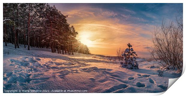 Sunset over winter landscape with snowy trees Print by Maria Vonotna