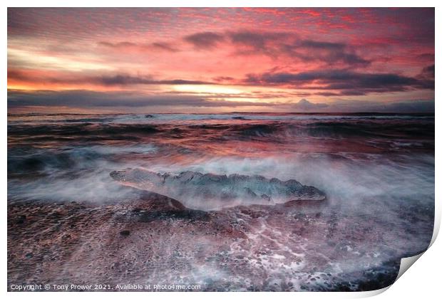 Ice Beach Reds Print by Tony Prower