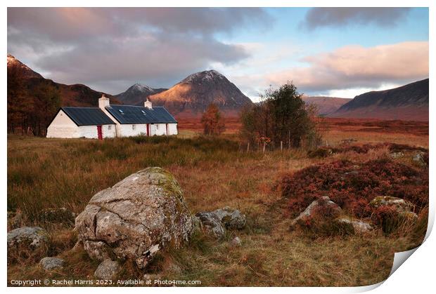 Black Rock Cottage  Print by Rachel Harris