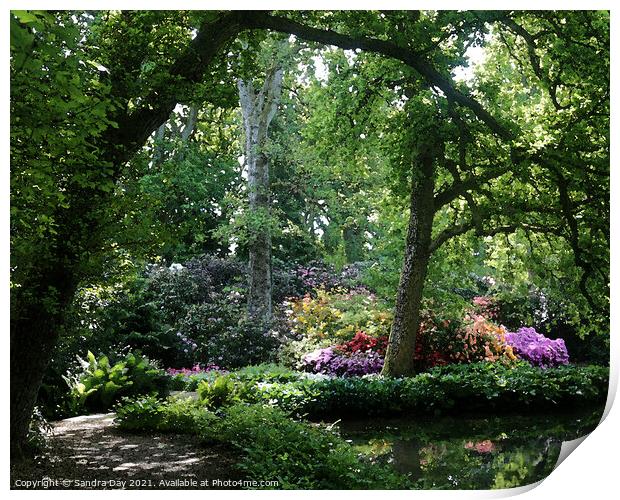 Water Garden Longstock Park 06 Print by Sandra Day