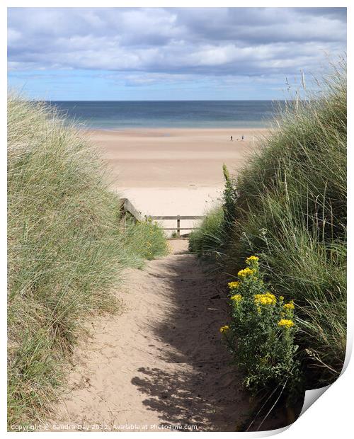 Sandy Beach Path Print by Sandra Day