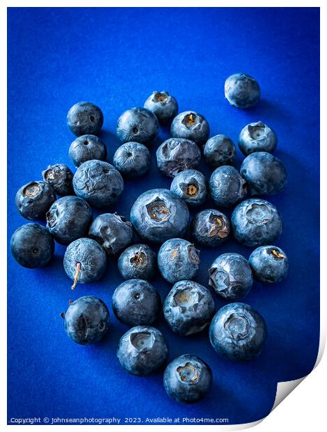 Aged or over ripe Blueberries on a dark blue backg Print by johnseanphotography 