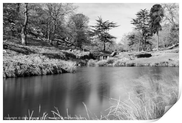 Bradgate Park Woodland and Water in Black and White Print by Chris Haynes