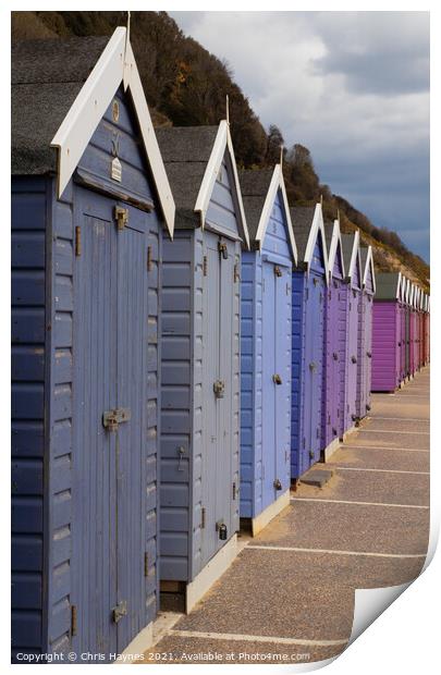 Beach Huts on Bournemouth Beach Print by Chris Haynes