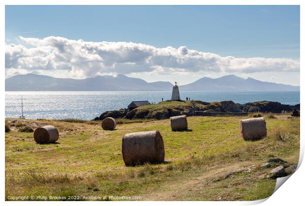 Twr Bach Beacon, Anglesey Print by Philip Brookes