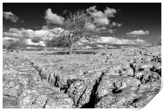 Hutton Roof Print by Philip Brookes