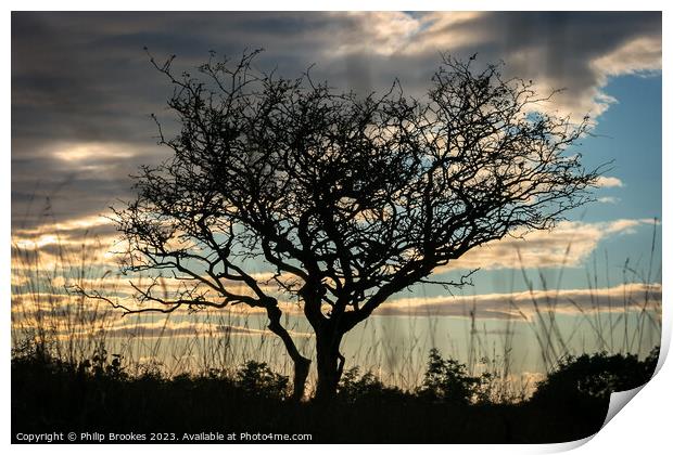 Hutton Roof Sunset Print by Philip Brookes