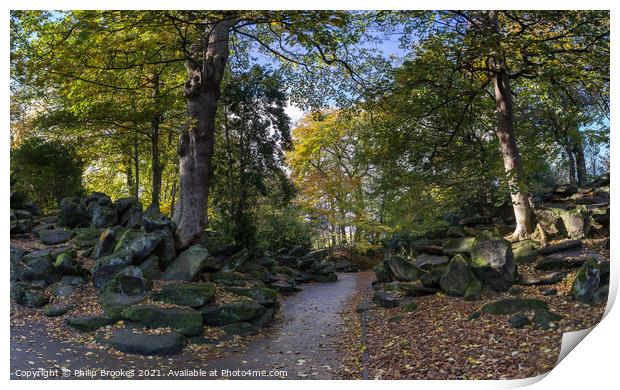 The Rockery, Birkenhead Park Print by Philip Brookes