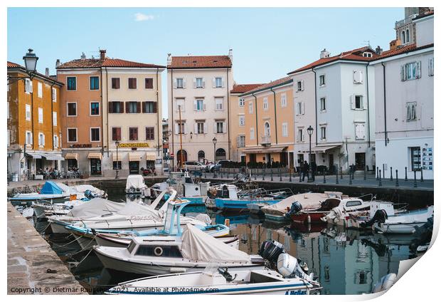 Old Harbour of Muggia, Italy with Boats Print by Dietmar Rauscher