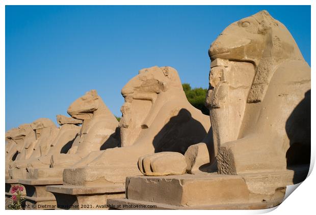 Alley of the Ram Headed Sphinxes in Luxor Print by Dietmar Rauscher