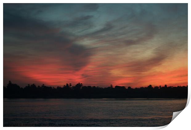 Evening Sky on the River Nile Print by Dietmar Rauscher