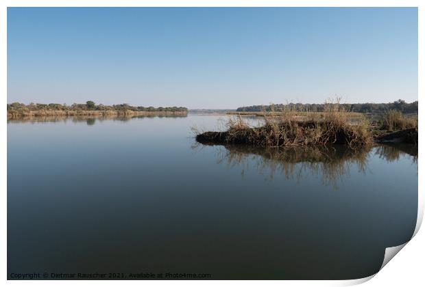 Tranquil Okavango River Landscape, Namibia Print by Dietmar Rauscher