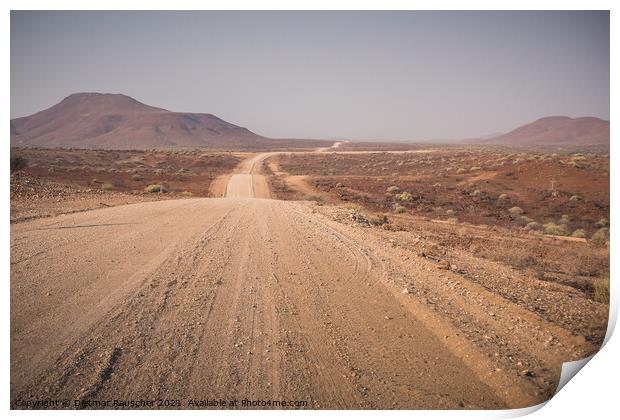 Gravel Road C45 between Palmwag and Sesfontein in Namibia, Afric Print by Dietmar Rauscher
