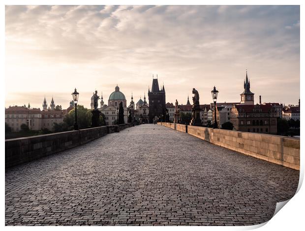 Charles Bridge in Prague in the Morning Print by Dietmar Rauscher