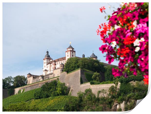 Fortress Marienberg in Wuerzburg, Germany Print by Dietmar Rauscher