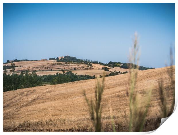 Hills of Tuscany near Montalcino Print by Dietmar Rauscher