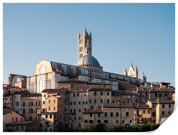 Siena Cathedral Cityscape in Tuscany Print by Dietmar Rauscher