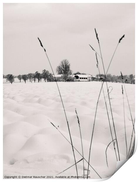 Winter Landscape with Farm in Lower Austria Print by Dietmar Rauscher
