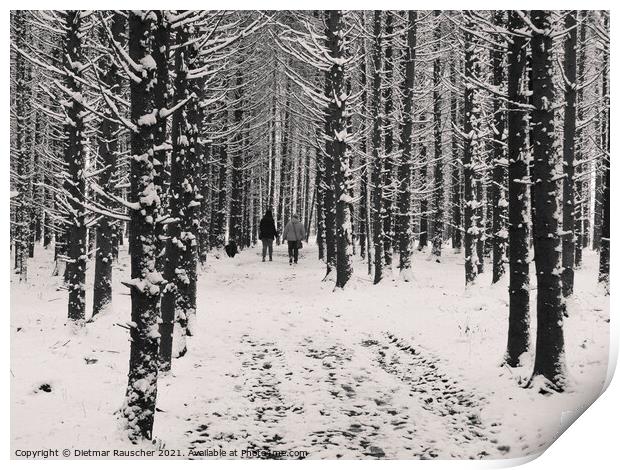 Winter Forest Walk Print by Dietmar Rauscher